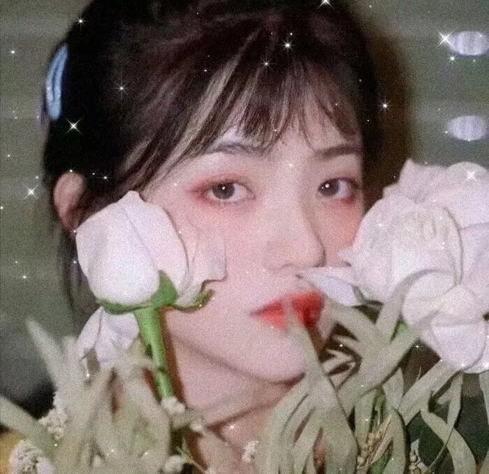 百老汇小姐 封面