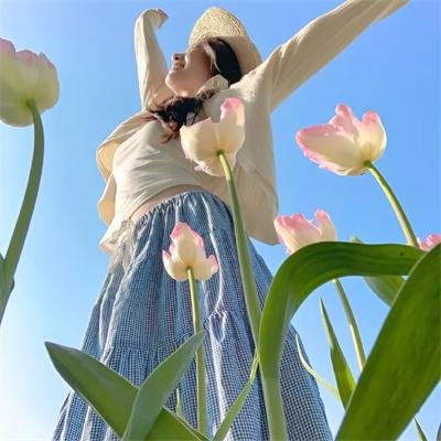愿嫁金龟婿 封面