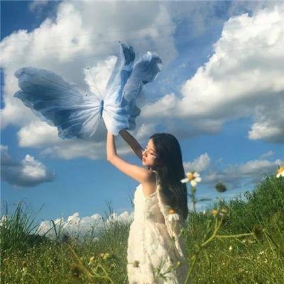 红莓花儿开 封面